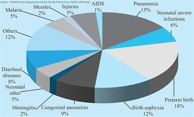 Pediatric Cardiac Surgery in Low-and Middle-Income Countries: Present Status and Need for a Paradigm Shift